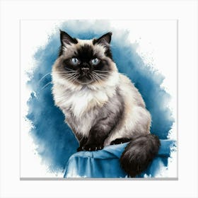 Siamese Cat Canvas Print