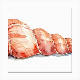 Watercolor Of Meat Canvas Print