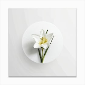 White Lily Canvas Print