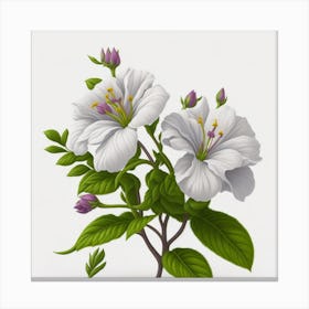 White Hibiscus Flower myluckycharm3 Canvas Print