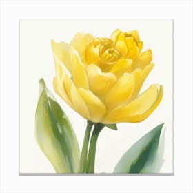 Yellow Tulip Rose Painted In Watercolor 1 Canvas Print