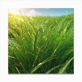 Green Grass In The Sun 1 Canvas Print