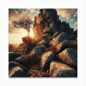Lone Tree On A Rock Canvas Print
