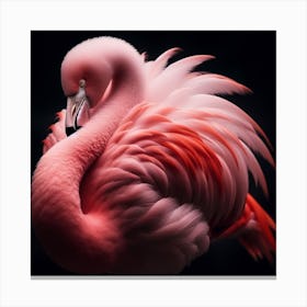 A flamingo 3 Canvas Print