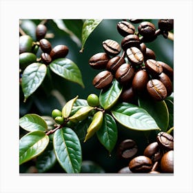 Coffee Beans On A Tree 53 Canvas Print