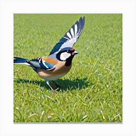 Bird In Flight 20 Canvas Print