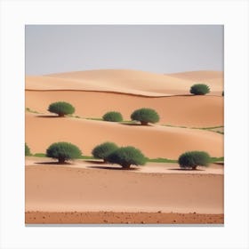 Sahara Desert 44 Canvas Print