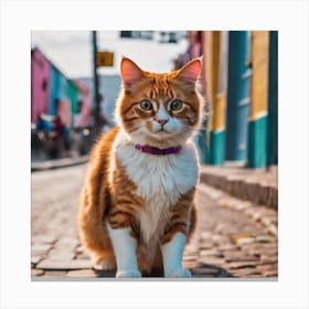 Street Cat Canvas Print