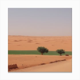 Sahara Desert 22 Canvas Print