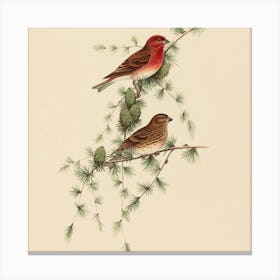 Red-Winged Blackbird Canvas Print