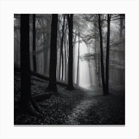 Dark Forest 3 Canvas Print