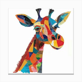 Giraffe 18 Canvas Print