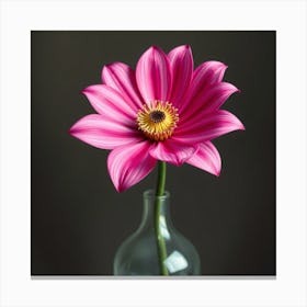 Dahlia 1 Canvas Print