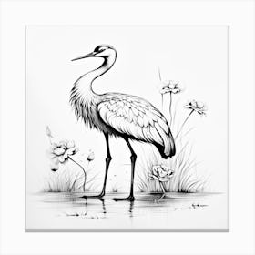 Crane In Water Canvas Print