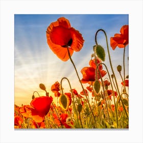 Fascinating Poppies Canvas Print