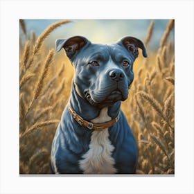 American Blue Staffy Gazing Thoughtfully Set Against A Backdrop Of A Sunlit Field Canvas Print