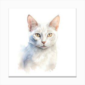 Burmilla Cat Portrait 3 Canvas Print