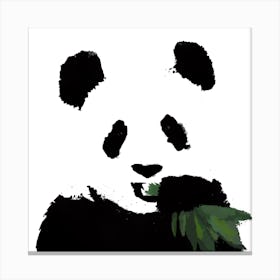 Panda White Series Square Canvas Print