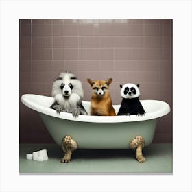 Three Animals In A Bathtub Canvas Print