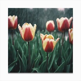 Tulips In The Rain 1 Canvas Print