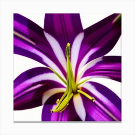 Purple Lily - Purple Lily Stock Videos & Royalty-Free Footage Canvas Print