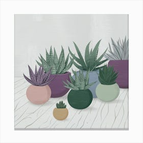 Potted Succulents Canvas Print