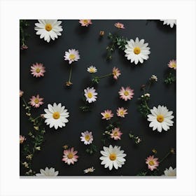 Daisies On A Black Background Canvas Print