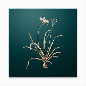 Gold Botanical Allium Fragrans on Dark Teal n.1069 Canvas Print