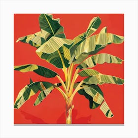 Banana Tree 6 Canvas Print