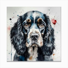 Springer Spaniel Canvas Print