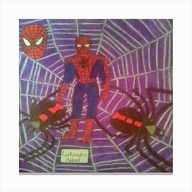 Spider-Man Canvas Print