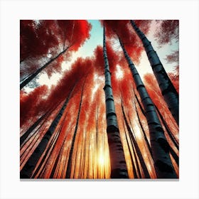 Red Birch Forest 1 Canvas Print