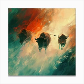 Bulls Canvas Print