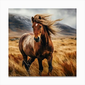 Horse In The Grass 3 Canvas Print