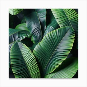 Tropical Leaves Background Canvas Print