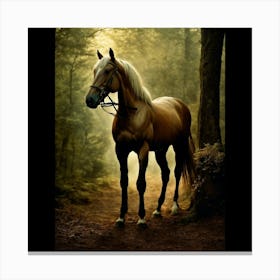 Horse In The Woods 1 Canvas Print