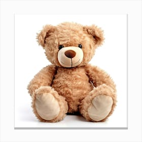 Teddy Bear 1 Canvas Print