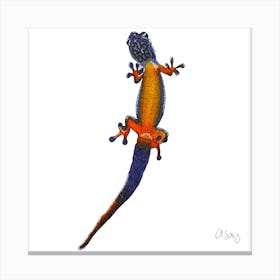 Purple Lizard. 1 Canvas Print