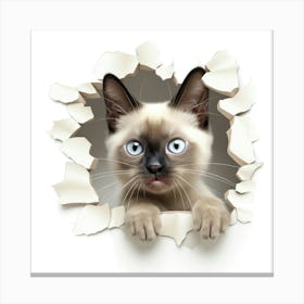 Siamese Cat 3 Canvas Print