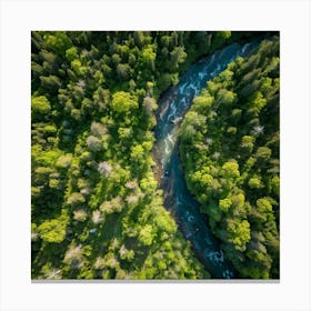 Aerial View Of A River Canvas Print