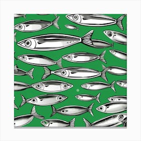 Sardines 1 Canvas Print