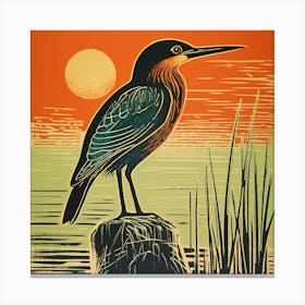 Retro Bird Lithograph Green Heron 1 Canvas Print