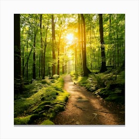 Firefly Sunlit Path Forest Background 30614 Canvas Print