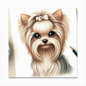 A yorkie female 3 Canvas Print