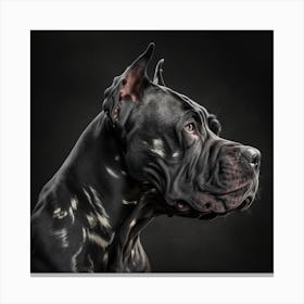 Dogue De Galles Canvas Print