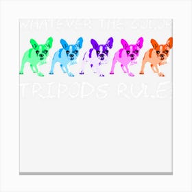 Tripod Tripawd Funny Three Legged Dog Canvas Print