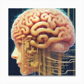 Woman'S Brain 3 Canvas Print