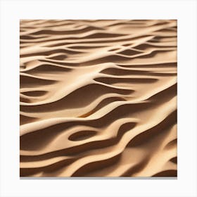 Sand Dune 5 Canvas Print