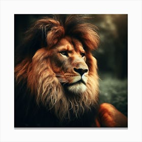 A powerful and majestic lion in its natural habitat2 Canvas Print