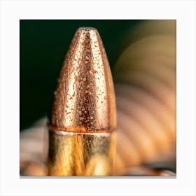 Close Up Of A Bullet 1 Canvas Print